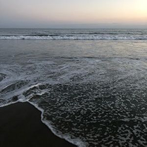 Meet your Posher, Diego